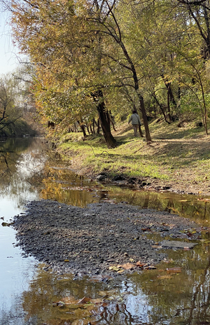 유지용수 확보가 수질 개선 1차 목표… 콘크리트 벗겨야 [갇힌 하천, 열린 공간으로·(中)]