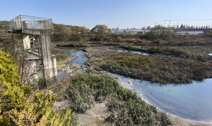 하천과 바다 만나는 ‘하구’… 관리 사각지대 개선을 [갇힌 하천, 열린 공간으로·(下)]