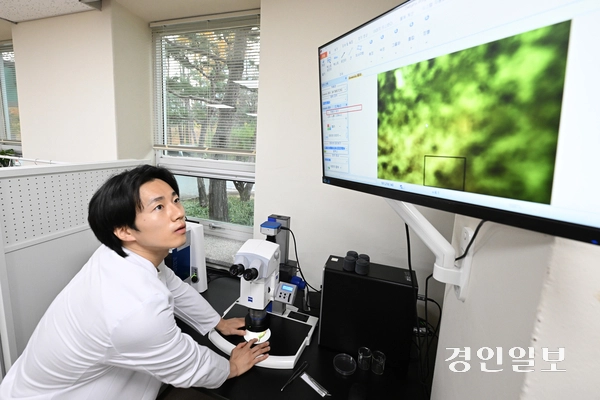 20일 오후 수원시 권선구 반려식물병원에서 직원이 식물의 상태를 진단하고 있다. 2025.11.20 /최은성기자 ces7198@kyeongin.com