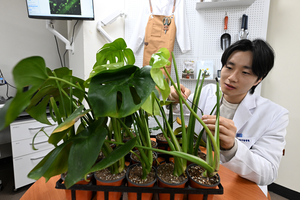[현장르포] ‘식집사’ 시대… 전용 병원 등장