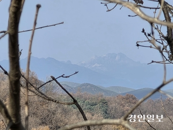 강화읍 견자산 정상에 올라서면 북한 땅을 볼 수 있다. 나뭇가지 사이로 멀리 보이는 게 북한 개성의 송악산이다. 2025.11.21 /정진오기자 schild@kyeongin.com