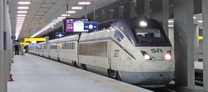 [클릭핫이슈] SRT복복선 확정도 안됐는데 튀어나온 ‘오리동천역’ 논란