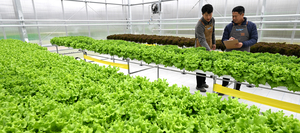 [현장르포] 경기남부 첫 스마트농업지원센터 가보니