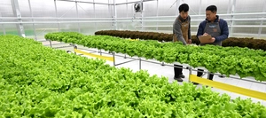 [현장르포] 경기남부 첫 스마트농업지원센터 가보니
