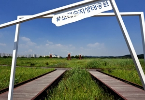 소래습지생태공원 ‘도심 탄소흡수원’ 제몫
