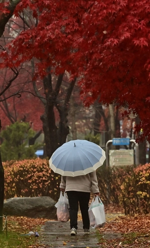 [포토] 가을이 진다