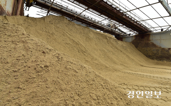 인천 옹진군을 상대로 바닷모래 채취 관련 소송에서 패소한 어민들에게 보조피고인 자격으로 소송비를 청구한 골재업체들이 옹진군의 요청으로 뒤늦게 소송에 참가했던 것으로 파악됐다. 사진은 쌓여 있는 바닷모래의 모습. 기사와 관련 없음. /경인일보DB
