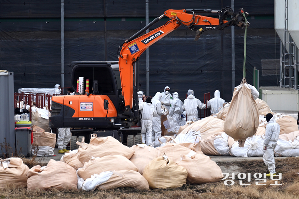 2일 평택시의 한 산란계농장에서 H5형 조류인플루엔자(AI) 항원이 검출돼 방역당국 관계자들이 방역 및 살처분 작업을 하고 있다. 2025.12.2 /최은성기자 ces7198@kyeongin.com