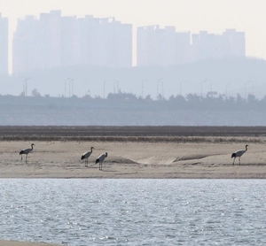 청라소각장 후보지에 ‘세어도’ 거론되자… 인천환경단체 ‘반대’