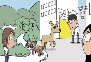 [참성단] 야생동물과의 공생