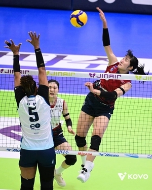 프로배구 수원 남매, 초반부터 나란히 상승세