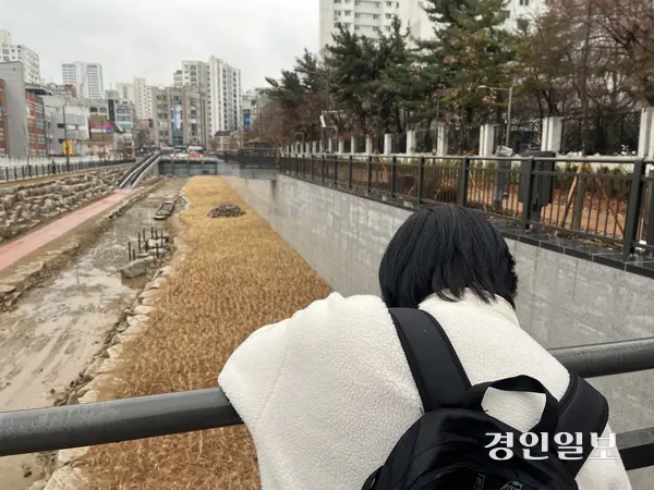 13일 오전 인천녹색연합 시민탐방 프로그램 ‘우보호시’에 참여한 시민이 굴포천 복원 구간을 바라보고 있다. 2025.12.13 /송윤지기자 ssong@kyeongin.com