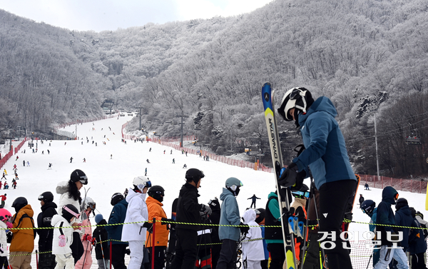 휴일인 14일 이천시 지산포레스트리조트 스키장을 찾은 시민들이 스키와 보드를 타며 즐거운 시간을 보내고 있다. 2025.12.14 /최은성기자 ces7198@kyeongin.com