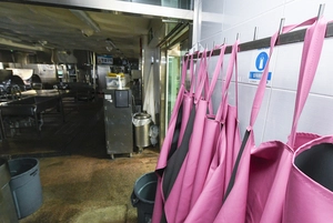 급식법 개정안 국회 앞 서성… 고질적 인력난 내년엔 좋아질까