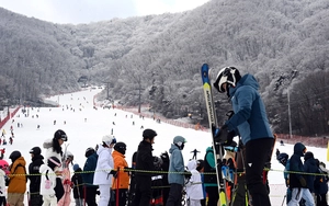 [포토] 스키와 보드의 계절