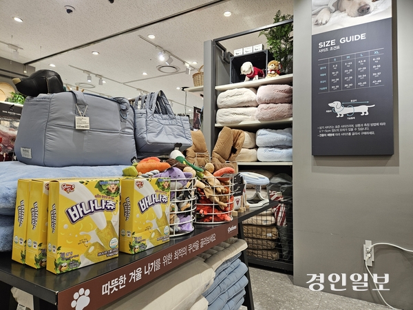 수원의 한 백화점 내 반려동물 방한용품이 진열돼 있다. 2025.12.16 /김지원기자 zone@kyeongin.com