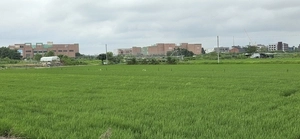 ‘10년간 잔금 미지급’ 파주세븐페스타 토지주들, 롯데쇼핑 상대 손배소