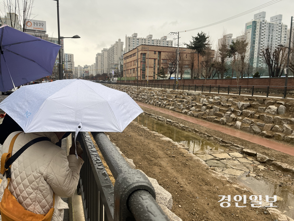 13일 오전 인천녹색연합 시민탐방 프로그램 ‘우보호시’에 참여한 시민이 굴포천 복원 구간을 바라보고 있다. 2025.12.13 /송윤지기자 ssong@kyeongin.com