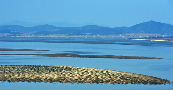 기후에너지환경부가 ‘4대강 재자연화’ 사업의 일환으로 한강 등 4대강의 보 철거 여부를 내년 중 결정할 예정이다. 강화군 평화전망대에서 바라본 한강 하구 모습. /경인일보DB