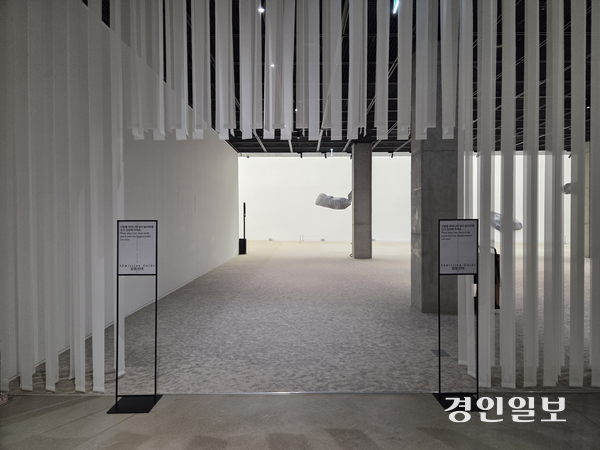 수원시립미술관 개관 10주년 전시 ‘공생’ 전시는 설치, 사운드, 소설 등 서로 다른 영역의 작품을 병치해 공생이라는 가치를 관람객들이 사유할 수 있는 특별한 감각 경험을 제공한다. 기념전 ‘공생’ 전경. 2025.12.19 /이시은기자 see@kyeongin.com