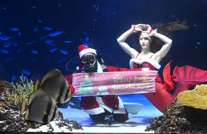 [포토] 수족관 산타·인어 성탄 인사
