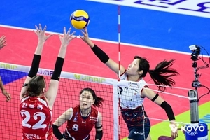 여배구 현대건설 6연승… 선두를 향해