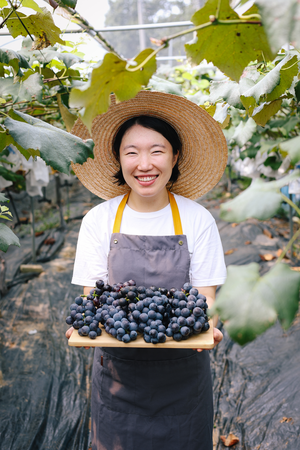 [인터뷰…공감] 대형 유통사 직원서 청년농부로… 포도밭 가꾸는 손현정 마맘팜 대표