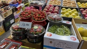 겨울딸기… 달콤한 맛, 살벌한 가격