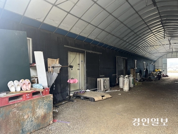 이천시의 한 비닐하우스 내에 샌드위치 패널로 된 집 주변으로 LPG가스통과 신발 등이 보인다. 2025.12.20 /목은수기자wood@kyeongin.com