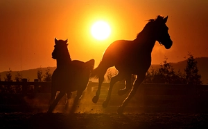 ‘붉은말처럼 질주’ 인천시, 대한민국 미래 연다