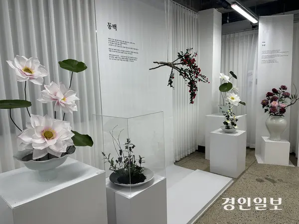 우리꽃한지전시관 ‘한지로 피운 야생화’전 전경. 2025.12.30 /이시은기자 see@kyeongin.com