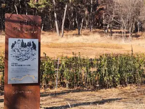 선감학원 피해자 유족찾기 ‘반쪽짜리’ 될판