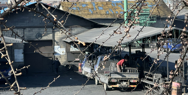 동두천시 동두천동의 연탄 제조공장 ‘동원연탄’에서 연탄 판매업자들이 1천여장만 운반 가능한 1.5t짜리 포터트럭에 연탄을 싣고 있다. 2026.1.5 /목은수기자wood@kyeongin.com