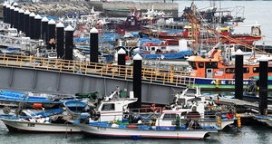 [포토] 매서운 바람에 어선들 출항 포기