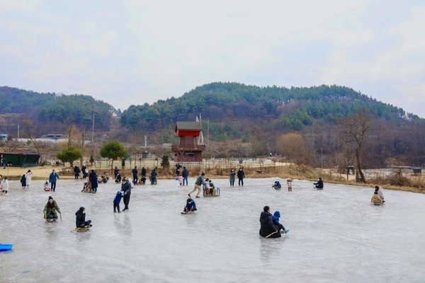 양평 양떼목장 내 공간을 활용해 조성된 얼음썰매장에서 방문객들이 썰매를 타고 있다. /양평 양떼목장 제공