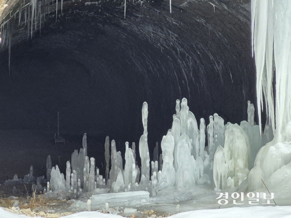 연천군 신서면 경원선 폐터널 속 역고드름이 강추위에 절정을 뽐내고 있다. 해마다 12월에서 이듬해 2월까지 폐터널 상부에서 갈라진 틈에서 떨어지는 낙숫물이 한파로 얼어 마치 땅위에서 고드름이 솟아난 착각을 들게한다. 연천군은 역고드름 훼손과 관람객 안전을 도모하기 위해 터널안 출입을 제한했다.  2026.1.14 연천/오연근기자 oyk@kyeongin.com
