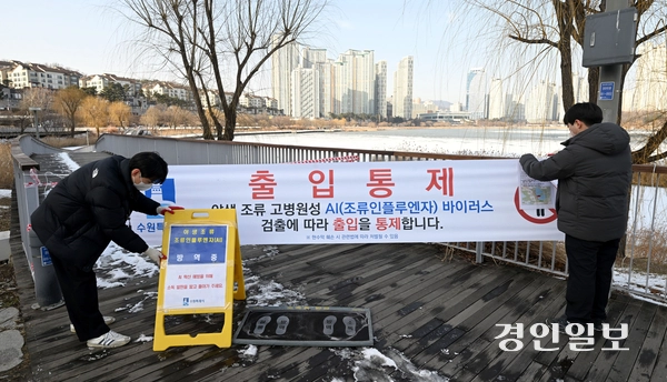 19일 수원시 영통구 원천호수 일대에서 고병원성 조류인플루엔자(AI)가 발생해 수원시청 환경정책과 관계자들이 출입통제 관련 현수막과 안내문을 설치하고 있다. 2026.1.19 /최은성기자 ces7198@kyeongin.com