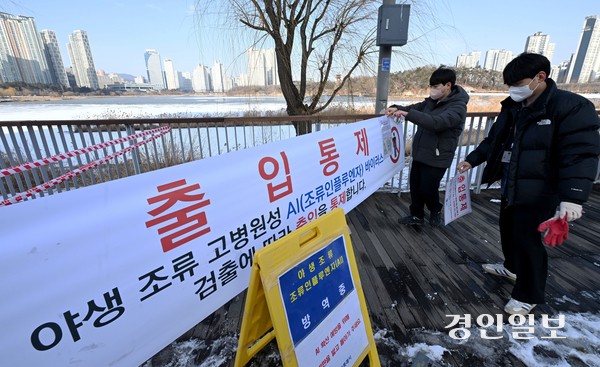 19일 수원시 영통구 원천호수 일대에서 고병원성 조류인플루엔자(AI)가 발생해 수원시청 환경정책과 관계자들이 출입통제 관련 현수막과 안내문을 설치하고 있다. 2026.1.19 /최은성기자 ces7198@kyeongin.com