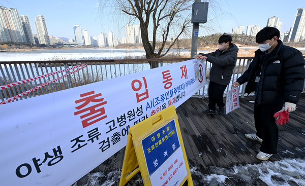 ‘鳥심하세요!’… 수원 야생조류 폐사체서 AI 검출