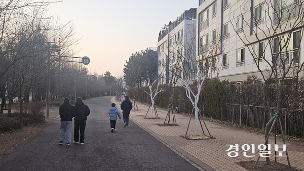 김포시 운양동 보행자도로 선형공원에 식재된 배롱나무 절반 가량이 고사된채 방치되고 있다. 2026.1.19 김포/김연태기자 kyt@kyeongin.com