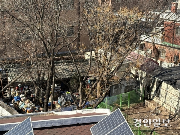 20일 찾은 인천 미추홀구 숭의동 한 단독주택 마당에 쓰레기가 쌓여있다. 이곳에 살고 있는 개들이 쓰레기 더미 사이를 지나다니고 있었다. 2026.1.20 /정선아기자 sun@kyeongin.com