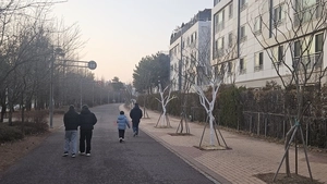 김포 운양동 보행자도로 선형공원 ‘말라죽은 가로수’ 네탓공방
