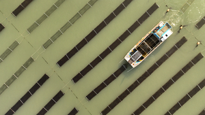 [이슈추적] 버려진 ‘경기도 검은 반도체’… 가공공장 없어 하루 2t씩 폐기