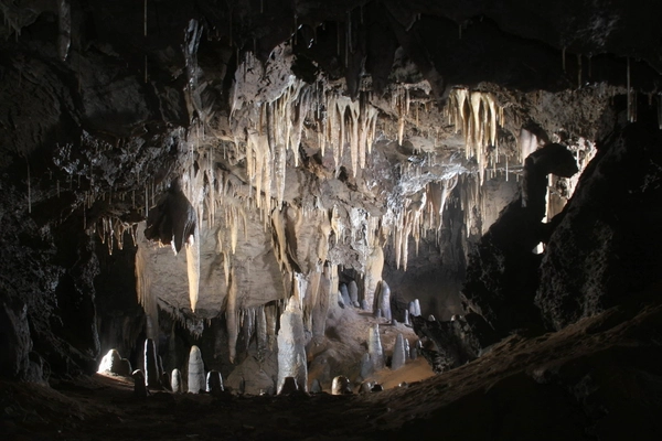 ‘동굴의 정원’이라고 불리는 천동동굴은 1976년 주민들에 의해 발견된 석회암 동굴로 약 4억5천만년 전 생성된 것으로 추정되고 있다. 현재 천연기념물 제406호로 지정되어 보존되고 있다. /단양군 제공