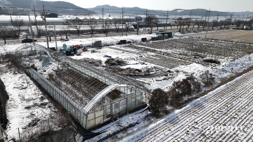 20일 용인시 처인구 남사화훼단지의 한 비닐하우스가 재작년 습설로 무너진 채 방치되고 있다. 농장주 박임영씨는 재작년 예상치 못한 폭설로 인해 일상생활이 멈췄고, 올해 역시 자재비 상승으로 복구할 엄두를 내지 못하고 있다고 호소했다. 2026.1.20 /최은성기자 ces7198@kyeongin.com