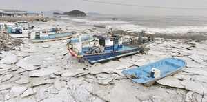 [포토] 예단포선착장까지 얼린 추위