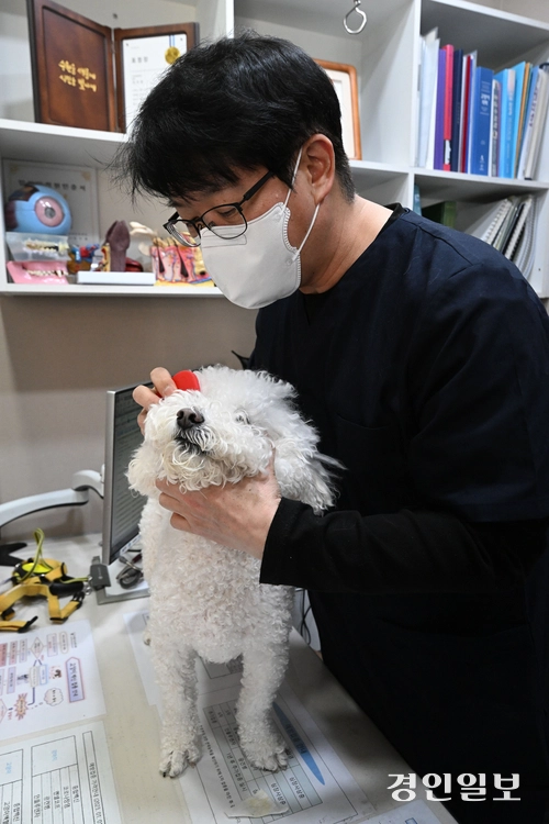 28일 경기도내 한 동물병원에서 수의사가 진료를 보고 있다. 2026.1.28 /최은성기자 ces7198@kyeongin.com