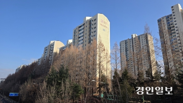 분당재건축 선도지구로 27일 정비구역지정 고시가 이뤄진 양지마을 전경. /경인일보DB