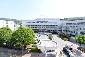 [6·3 지방선거 나요나-인천 강화군수] 보수세 강한 지역… 내란 사건 재판 영향 관전 포인트