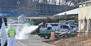[화보] 인천 강화군 구제역 발생